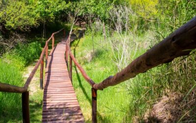 Buscan declarar a La Chinita área natural protegida