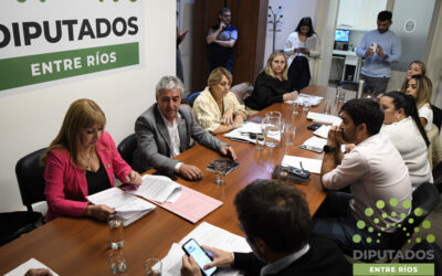 Debatieron un proyecto que faculta a las comunas a reglamentar su ordenamiento urbanístico