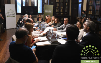Hubo dictamen para el proyecto de Transparencia Fiscal al Contribuyente