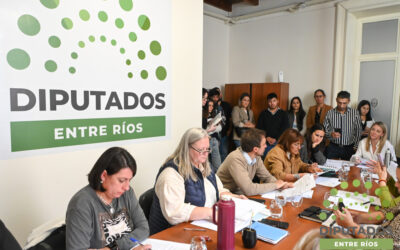 Diputados trataron proyectos de prevención de la violencia de género digital