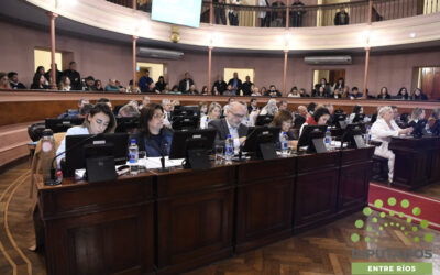 Diputados convirtió en ley el proyecto de creación de la OSER
