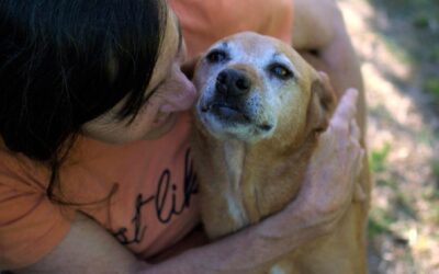 El derecho animal en una charla con expertos del Colegio de la Abogacía en Chajarí