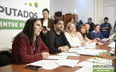 La comisión de Salud Pública trató proyectos vinculados con los derechos de los pacientes