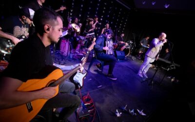 Lucecitas serenas del alma